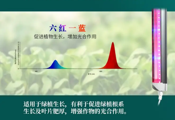 六红一�?png