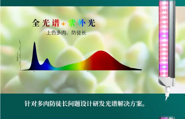 全光�?紫外�U?png