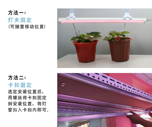 植物灯管使用�Ҏ(gu��)��.png