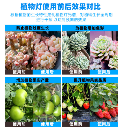 植物灯效果对�?png